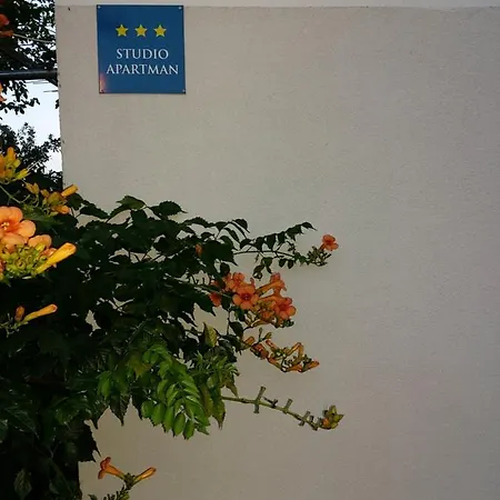 Studio Apartman Kotro Beli Manastir Exterior photo